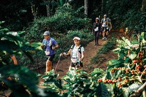 BIB: 
                            <button type="button" onclick="openModal(25845621)" class="btn btn-primary btn-sm float-right btn-popup" data-toggle="modal" data-target=".modal-high-quality">
                        <i class="fas fa-shopping-cart"></i> Add to Cart
                    </button>
                                            <button type="button" onclick="isThisMe(25845621, true)" class="btn btn-success btn-sm float-right btn-popup btn-isme hidden" data-toggle="tooltip" data-placement="bottom" title="นี่คือรูปของคุณใช่ไหม คลิกที่นี่เพื่อเอาเข้าอัลบั้ม">
                        <i class="fas fa-plus"></i> Add to album
                    </button>
                    <button type="button" onclick="isThisMe(25845621, false)" class="btn btn-warning btn-sm float-right btn-popup btn-isnotme hidden">
                        <i class="fas fa-ban"></i> Remove from album
                    </button>